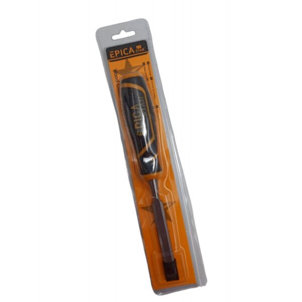 12-epica-star-ep-20100