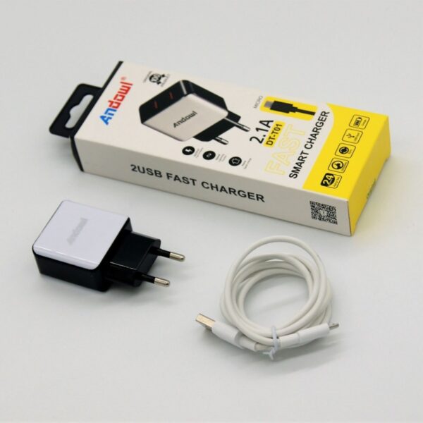 micro-usb-2-21a-andowl-ph-an-dtt01
