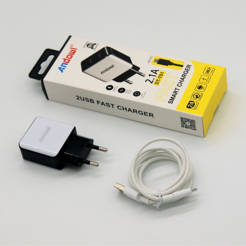 micro-usb-2-21a-andowl-ph-an-dtt01