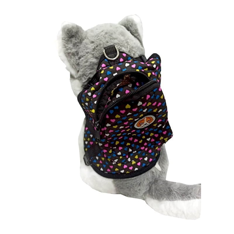 294036026_5395272040510919_2106759067536159576_n