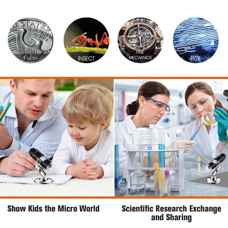 81Xw6-2EfEL._AC_SL1500_