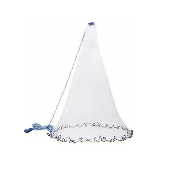 xlarge_20201123103404_aria_trade