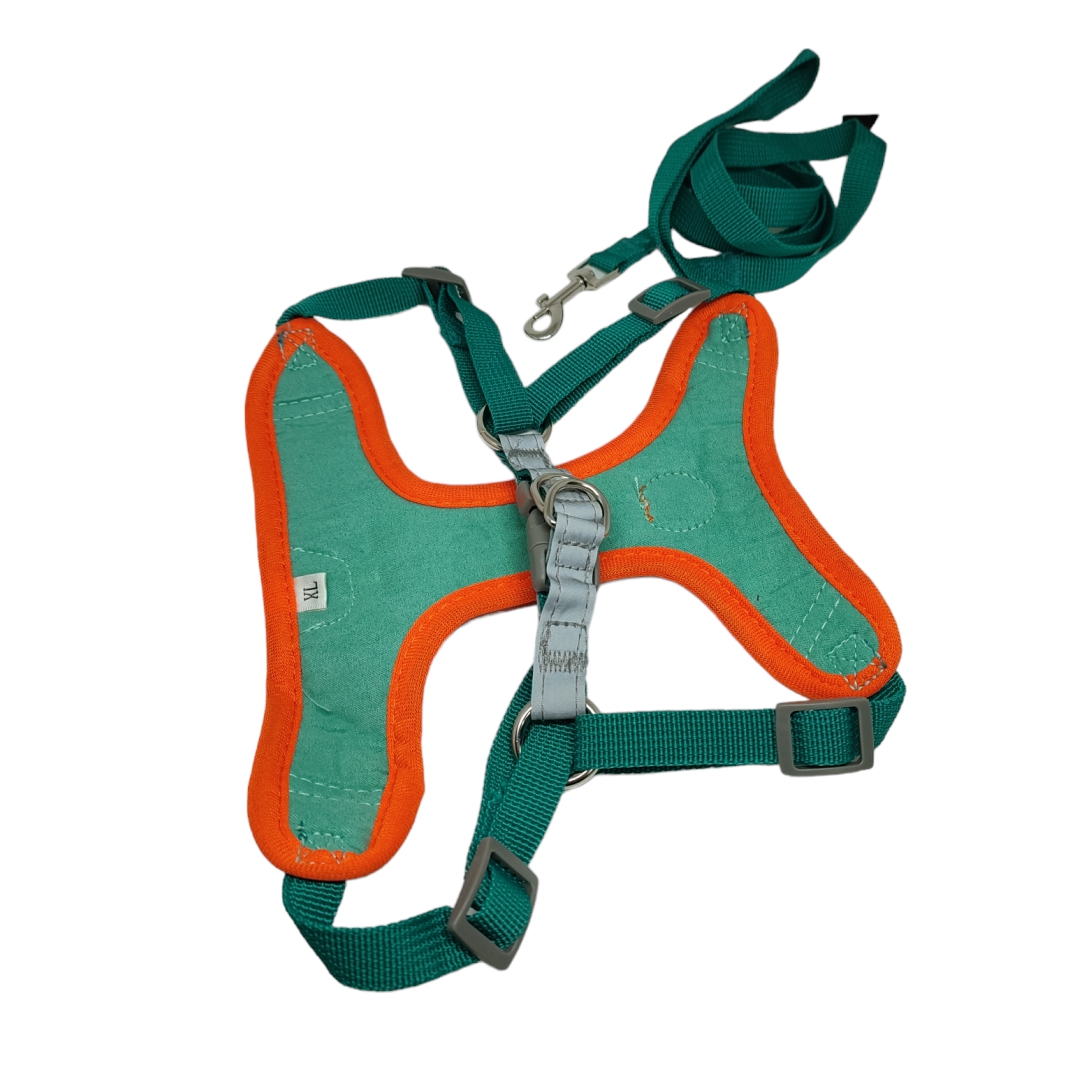 Σαμαράκι-για-Σκύλους-με-Λουρί-1