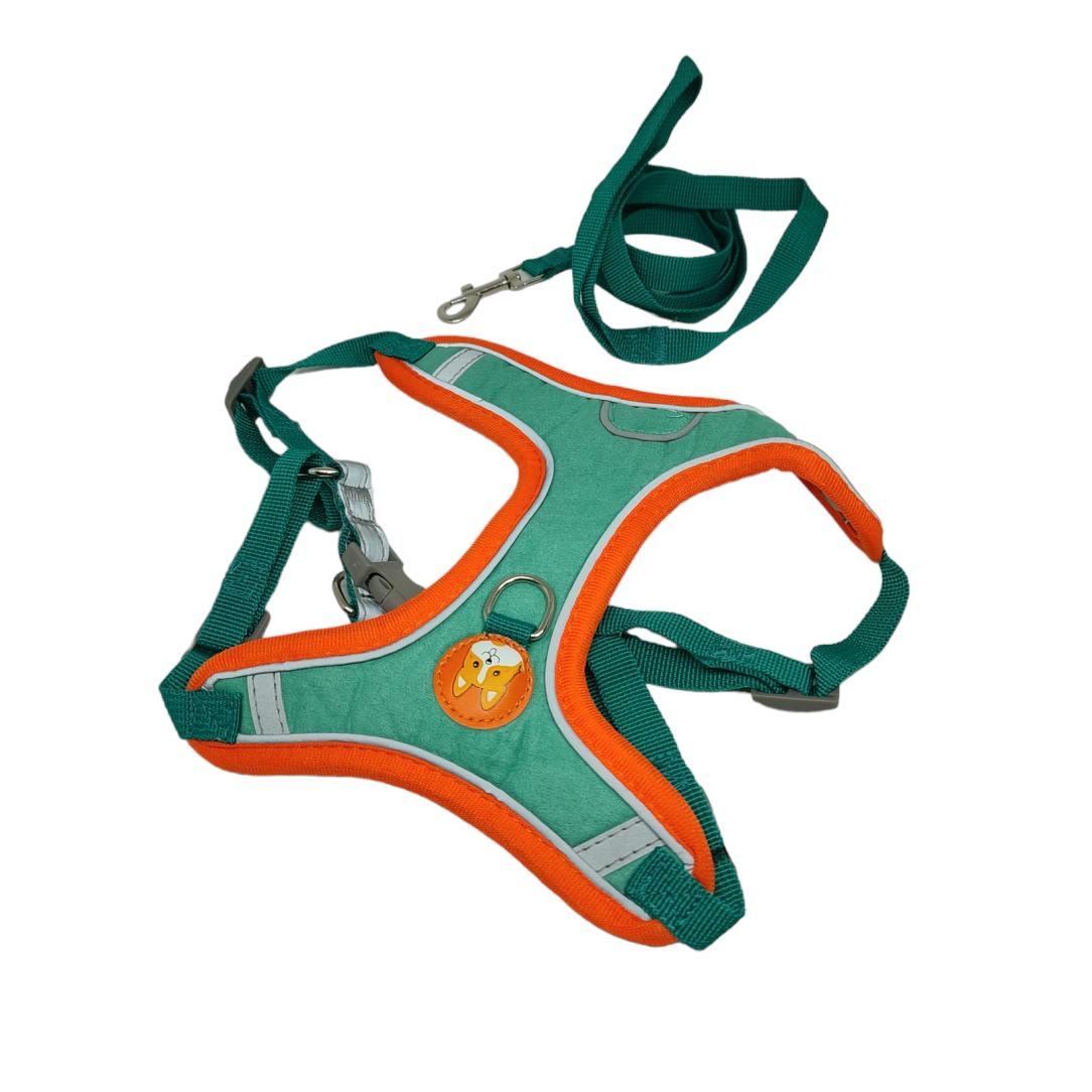 Σαμαράκι-για-Σκύλους-με-Λουρί