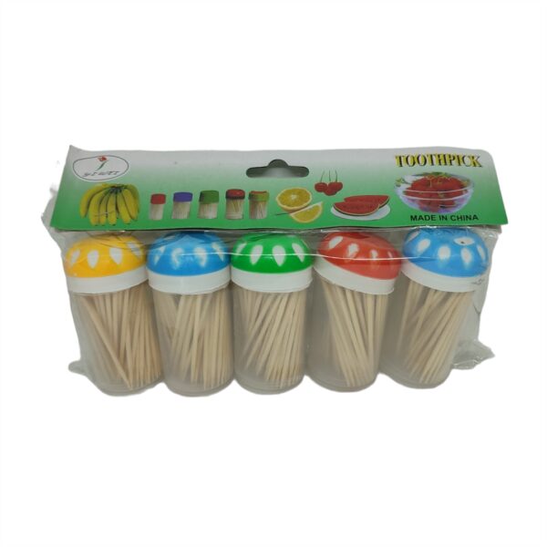 Σετ-5τμχ-Κουτάκια-με-Οδοντογλυφίδες-Toothpick