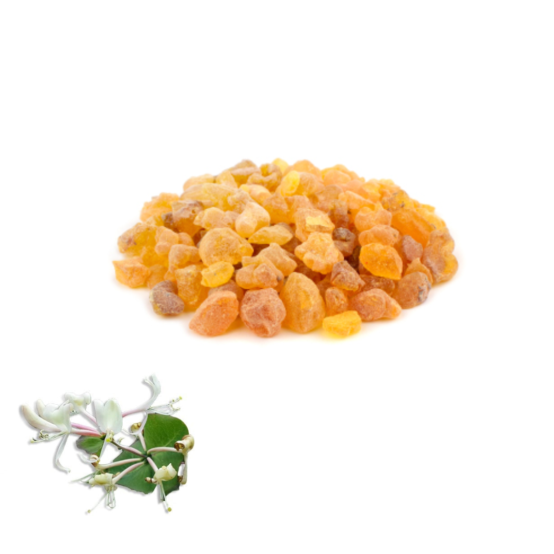 Ανώνυμο-σχέδιο-15