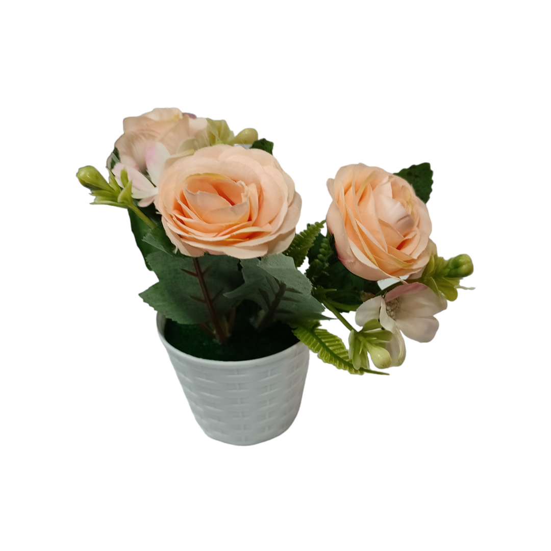 Ανώνυμο-σχέδιο-48-1