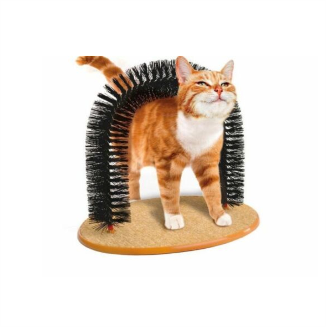 Παιχνίδι-Γάτας-Cat-Arch
