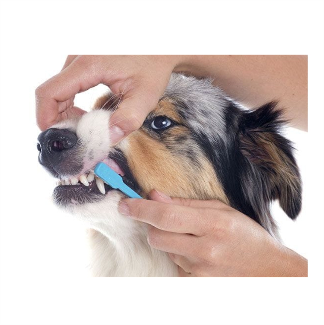 Σετ-Στοματικής-Υγιεινής-Σκύλου-Dental-Care-YH-01339-2