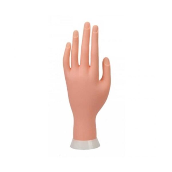 Εκπαιδευτικό-Χέρι-Premier-Soft-Hand-A