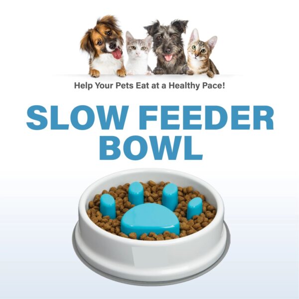 Ταΐστρα-Μπολ-Σκύλου-Γάτας-Slow-Feeder-Bowl-2