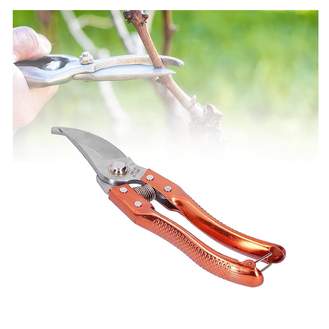 Ψαλίδι-Κλαδέματος-Great-Sail-1