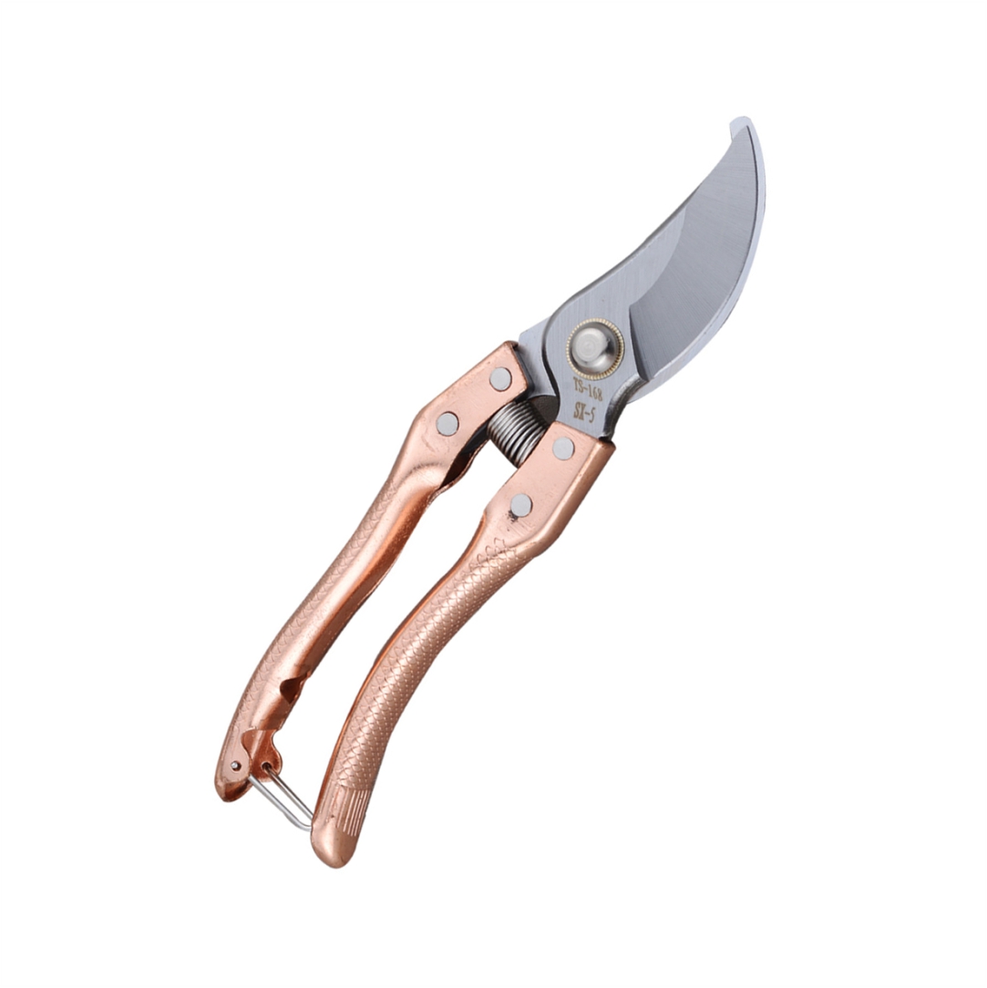 Ψαλίδι-Κλαδέματος-Great-Sail