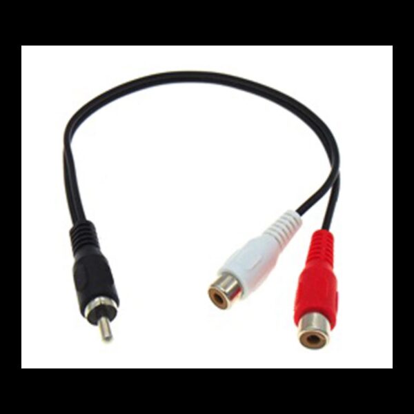 1-rca-male-2-rca-female-8212