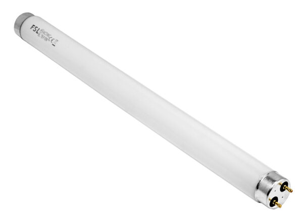 SP-BRN-0186-1