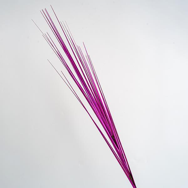 550970836468439f9378760a572a4ee5