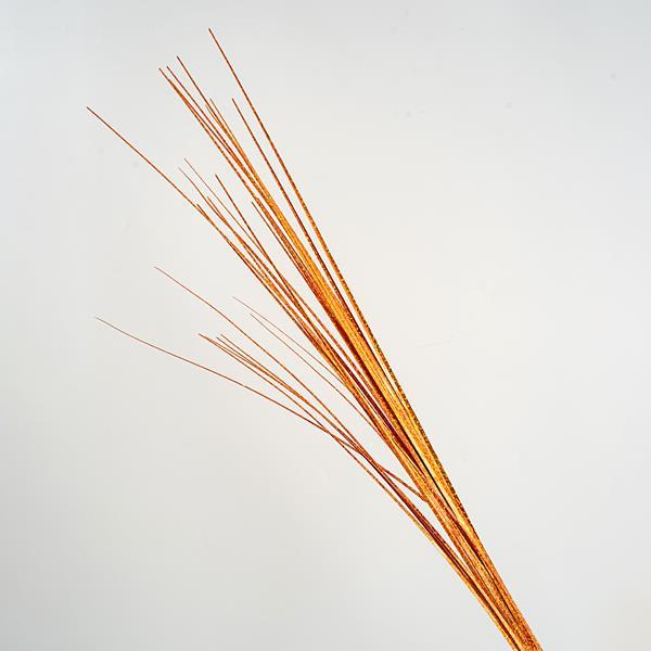 6e0b60bc65944b6d96f8303883e149cf