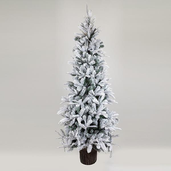 908868eaba124ba792e12b7f9eb9eead