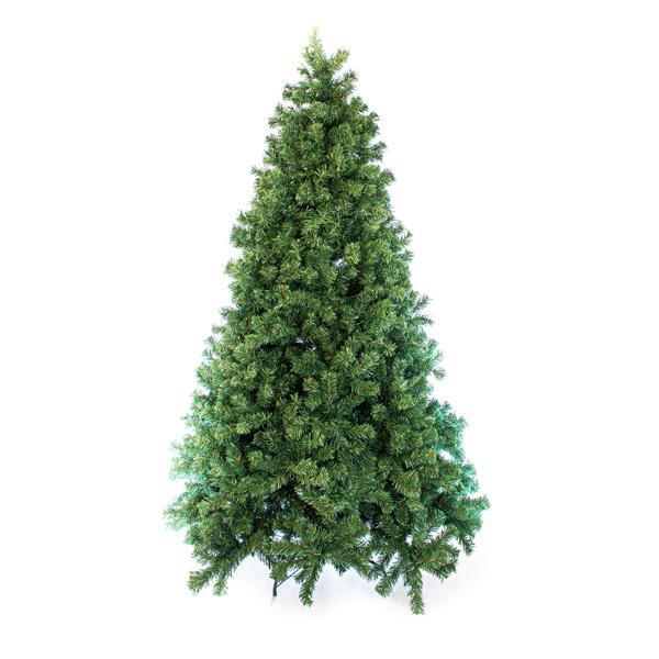 11b5e89e8b6c49f0ad937bda13f76e81