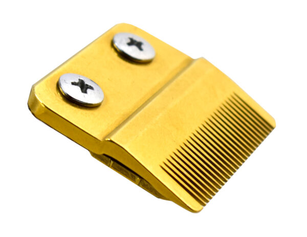 SP-BRN-0222-2