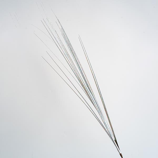 3e67860ff82742e9ab3d05370fe26b82