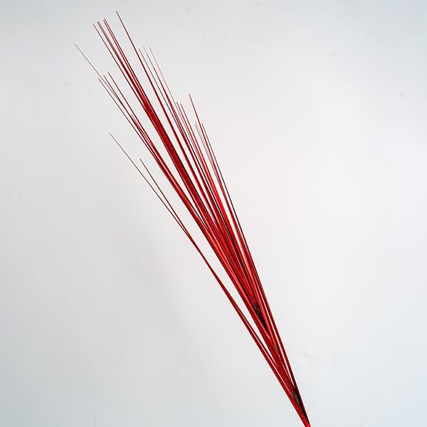 a1f60ff7e0544e9e88bce6e375e7ef40