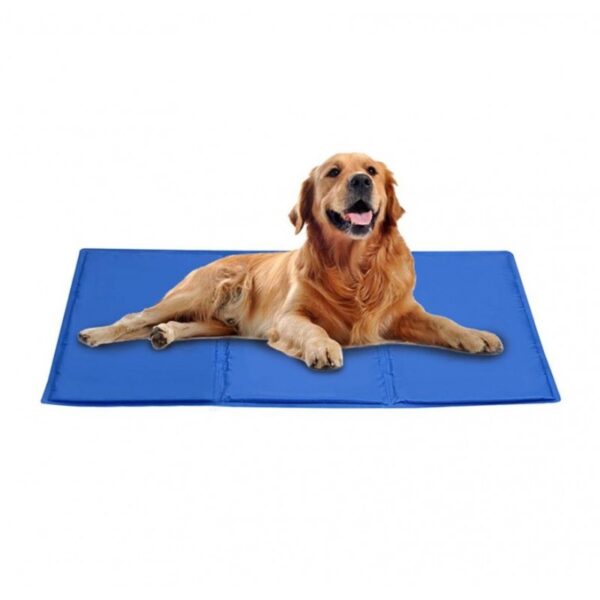 xl-96x81cm-sd-2623
