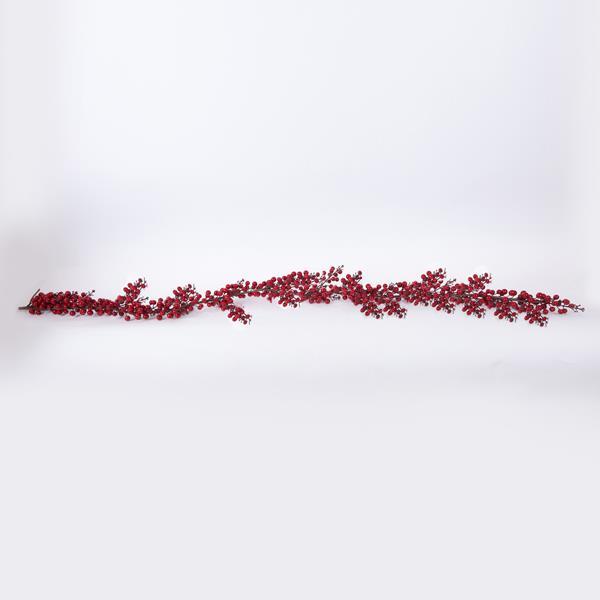 23851e3006d54c4a84f4be94a9cced3c