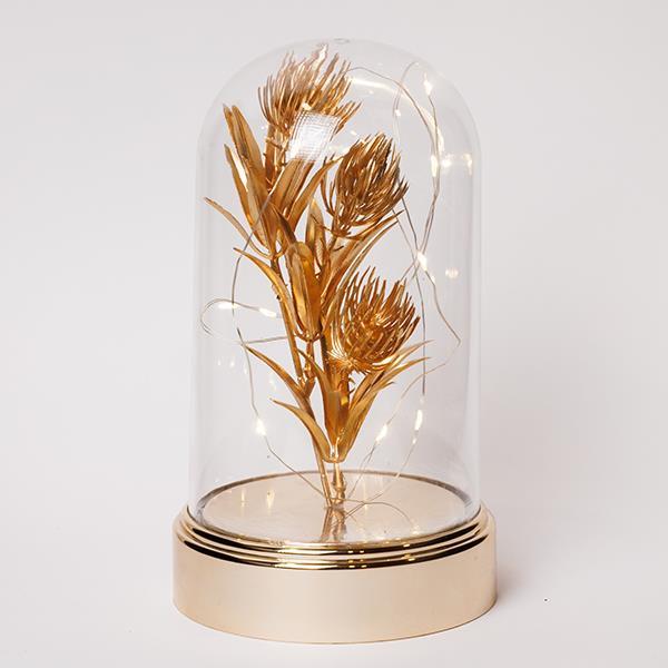 5cb174cc7b2446c28ab0b105a9bd01a1