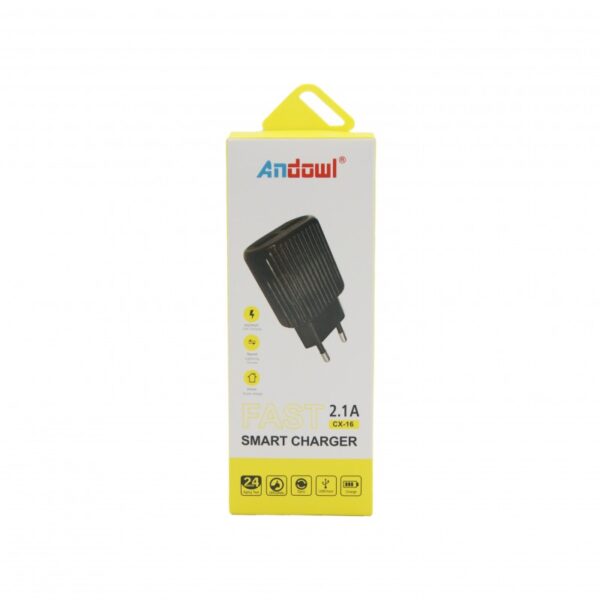 fast-smart-charger-21a-andowl-cx-16