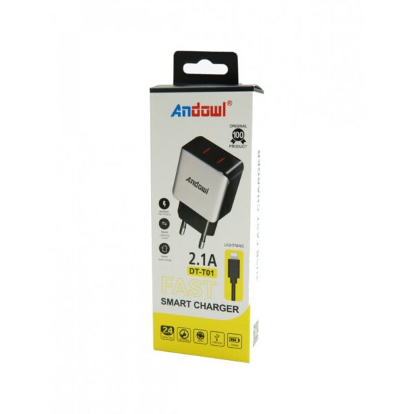 lightning-ios-andowl-dt-t01